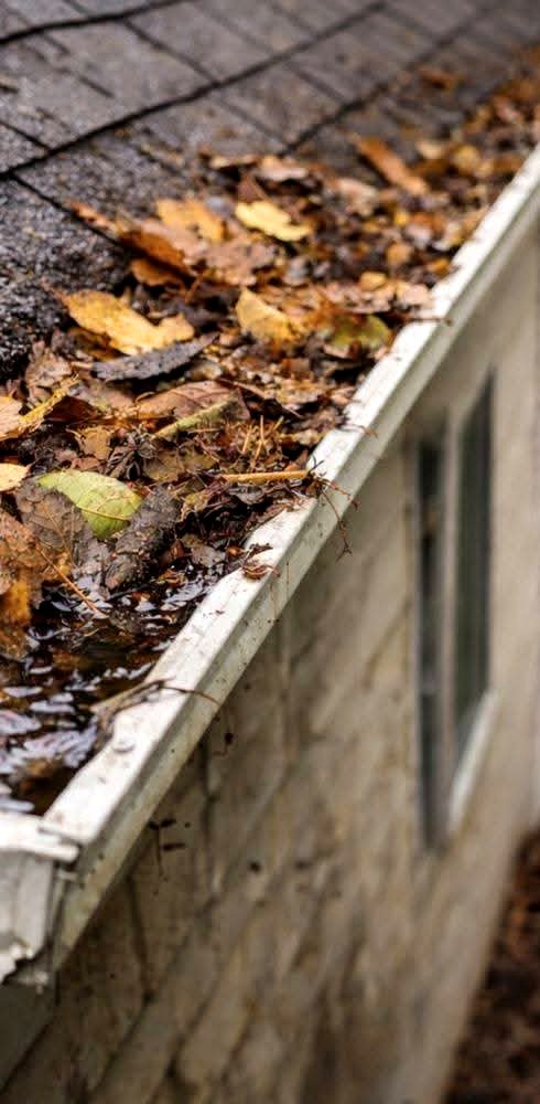 Gutter clear-out — before