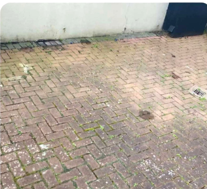 Driveway power wash — before